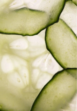 Cucumber Scent